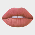 Lorin Liquid Lip Soft Matte #501 (Brick) - Image 2