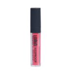 Lorin Kissproof Velvet Matte Lip #107 (Creamy Orange)