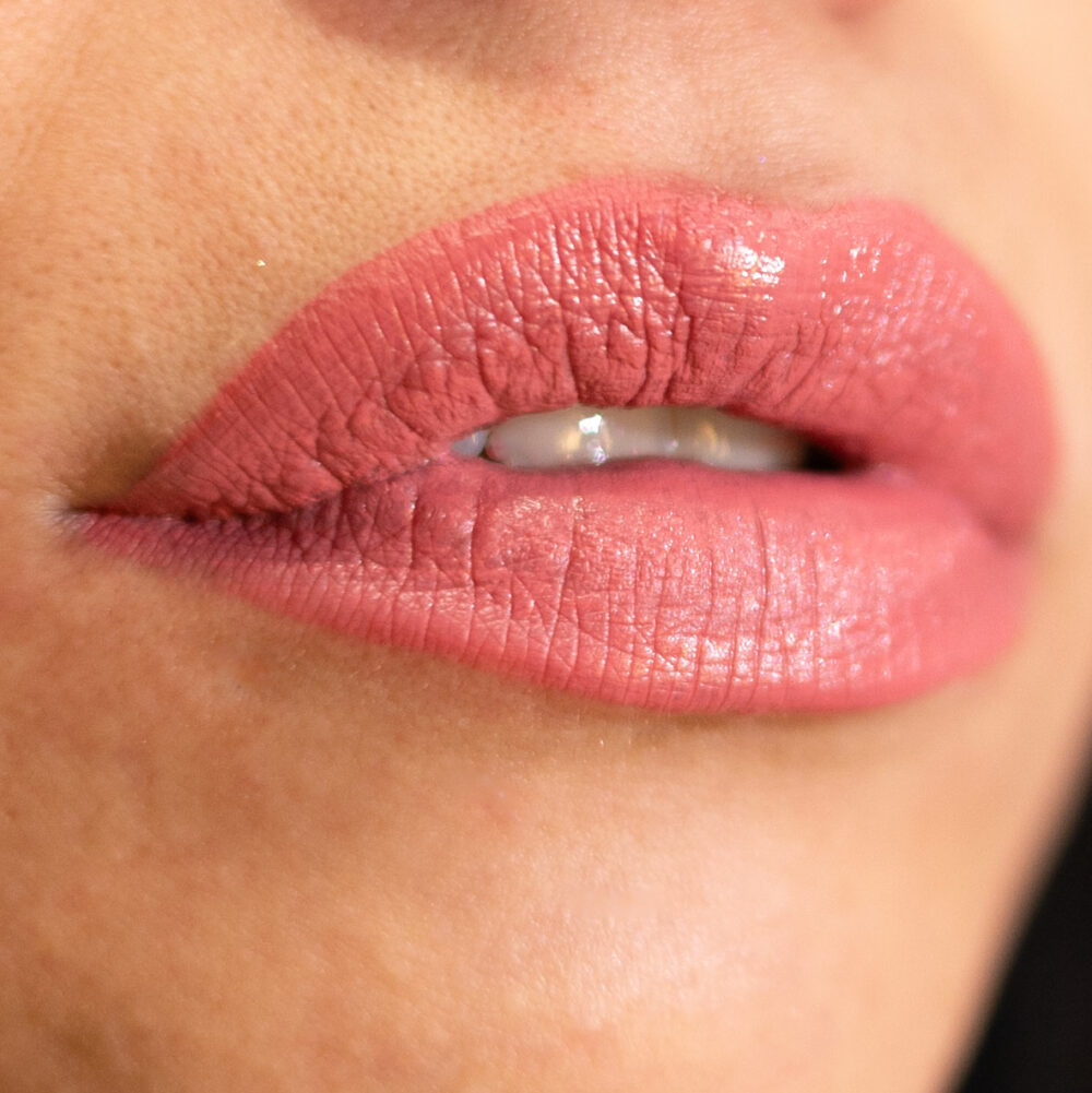 Lorin Kissproof Velvet Matte Lip #108 (Terra Rose)