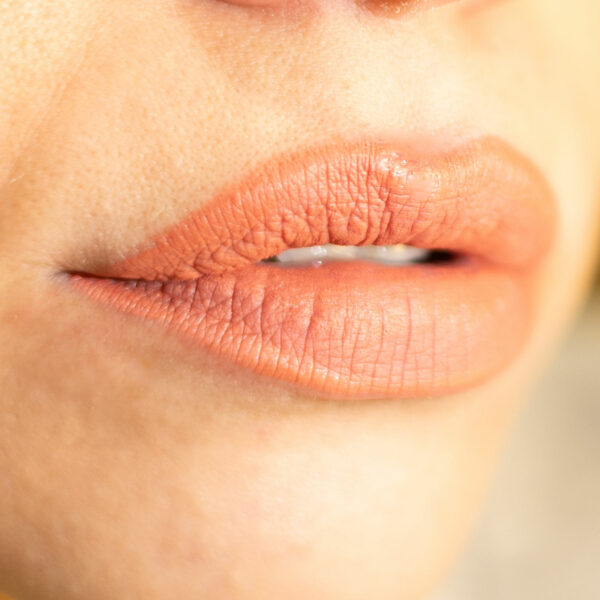 Lorin Kissproof Velvet Matte Lip #113 (Dark Honey) (Αντιγραφή) - Image 2